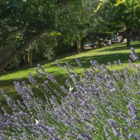 Koper Apartment * Koper