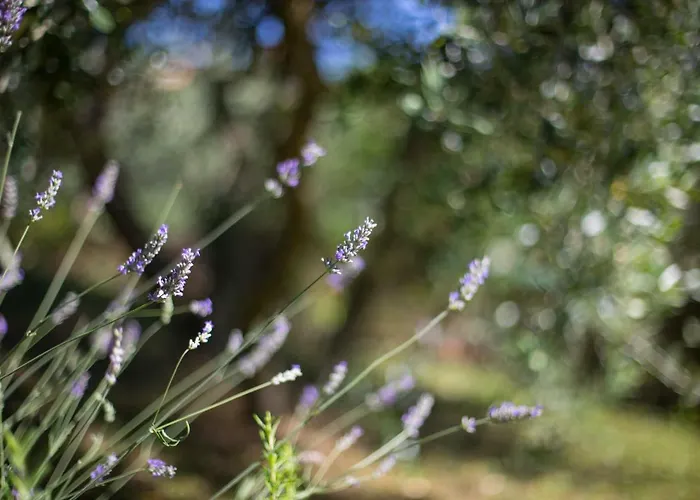 Koper Apartment דירה קופר