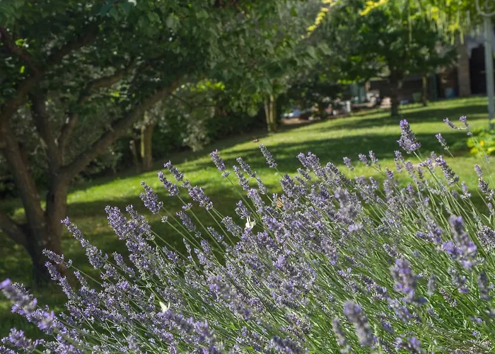 Koper Apartment * Koper